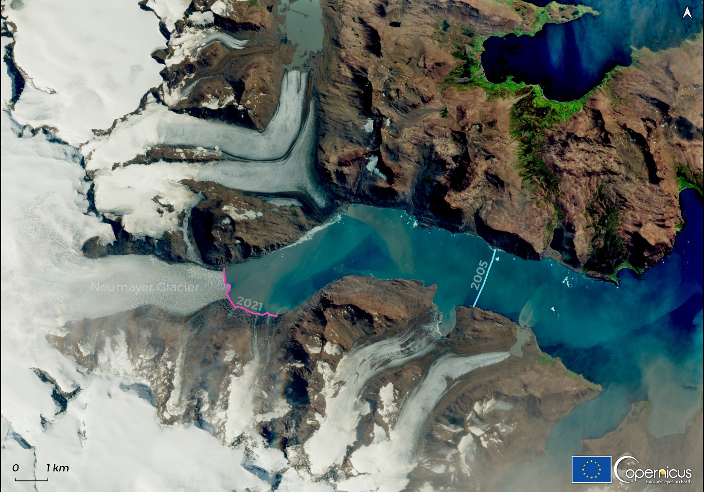 Sentinel-2 image from 22 January 2021, showing the status of the Neumayer Glacier, of the largest tidewater glaciers in South Georgia. Comparing the glacier terminus as seen in the 2021 Sentinel-2 image (line in magenta) with a Landsat-8 image acquired in April 2005 (line in cyan) shows that the glacier has shrunk by more than 8 km in 16 years.