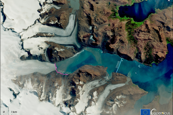 The image is a Sentinel-2 satellite view from 22 January 2021, showing the Neumayer Glacier in South Georgia, one of the largest tidewater glaciers. The glacier terminus in 2021 is marked with a magenta line, while the terminus in April 2005, captured by a Landsat-8 image, is marked with a cyan line. The comparison indicates that the glacier has shrunk by more than 8 km over 16 years. The image highlights the glacier's retreat, with snow-covered areas, rocky terrain, and surrounding water bodies clearly vis