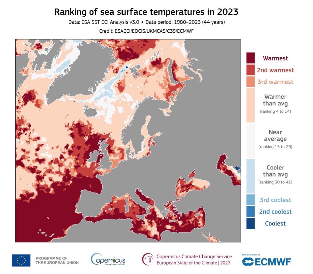 Ranking of sea surface temperatures in 2023.