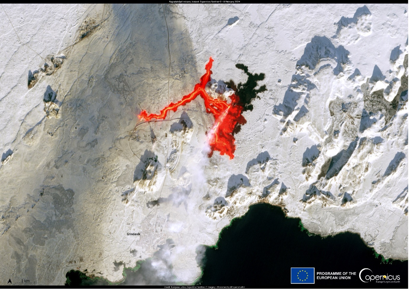 The image captures the eruption of the Fagradalsfjall volcano in Iceland on 8 February 2024, as seen by the Copernicus Sentinel-2 satellite. The vivid red lava flows carve through the snowy landscape, creating a stark contrast against the white snow. The lava is spreading towards the town of Grindavík, visible near the bottom of the image. The surrounding area is marked by a mix of snow-covered terrain and dark volcanic rock. The image includes labels such as "Grindavík" and features logos for the European Union and Copernicus in the bottom right corner, with a scale bar indicating 1 km in the bottom left corner.