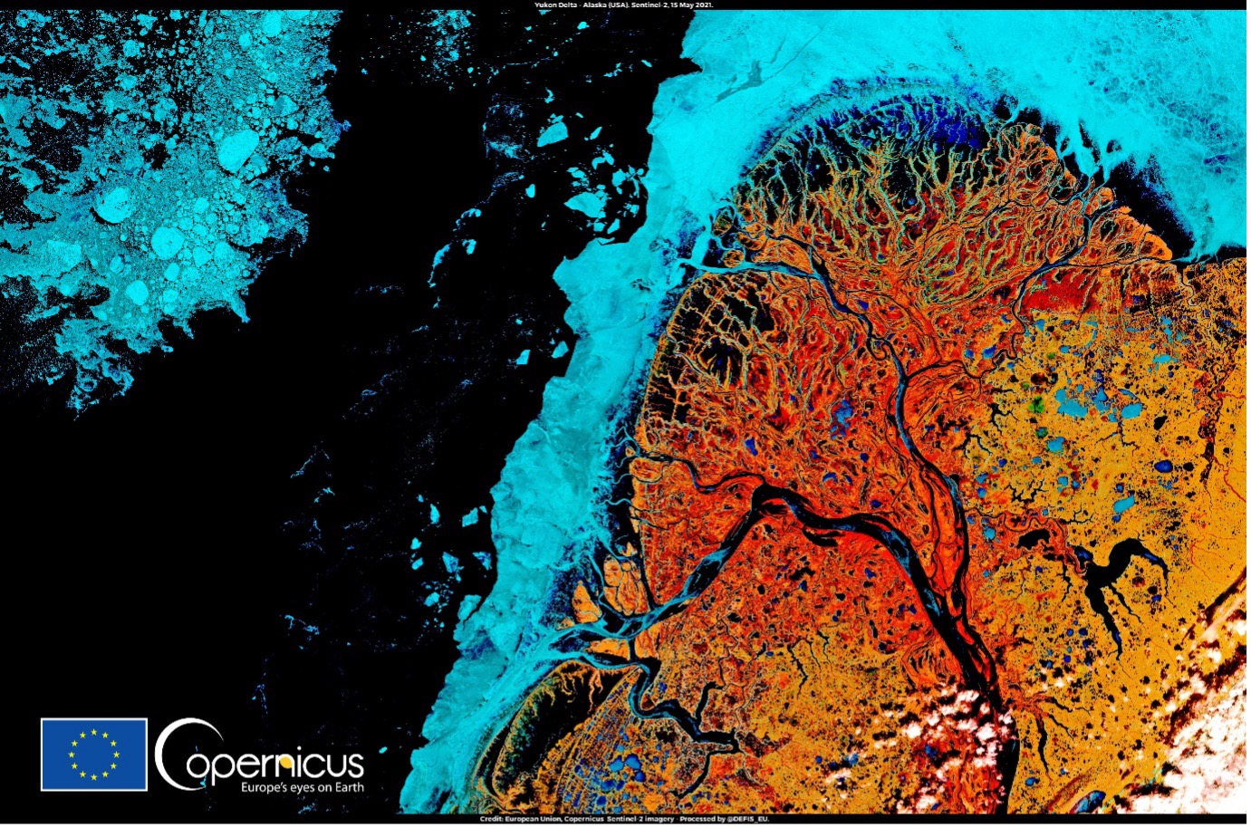 The image shows a stunning false-colour view of the Yukon River Delta in Alaska, acquired by the Copernicus Sentinel-2 satellite on 15 May 2021. The delta features extensive wetlands, depicted in striking tones of red, indicating the thawing tundra no longer covered in snow. Large blue areas represent remnants of sea ice in the Bering Sea, creating a sharp contrast with the vibrant red land. The image combines near-infrared (NIR), short-wave infrared (SWIR), and visible red and green bands to highlight these features. The top left corner includes a scale bar indicating 1 km, and the bottom left corner displays the logos for the European Union and Copernicus.