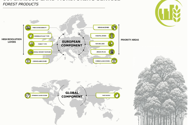 OBSERVER: Monitoring the World’s Forests with Copernicus Land